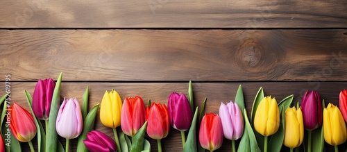 A row of vibrant tulips in various shades of pink, red, and yellow are neatly arranged on a rustic wooden table with a textured surface. The sunlight illuminates the petals, highlighting their natural