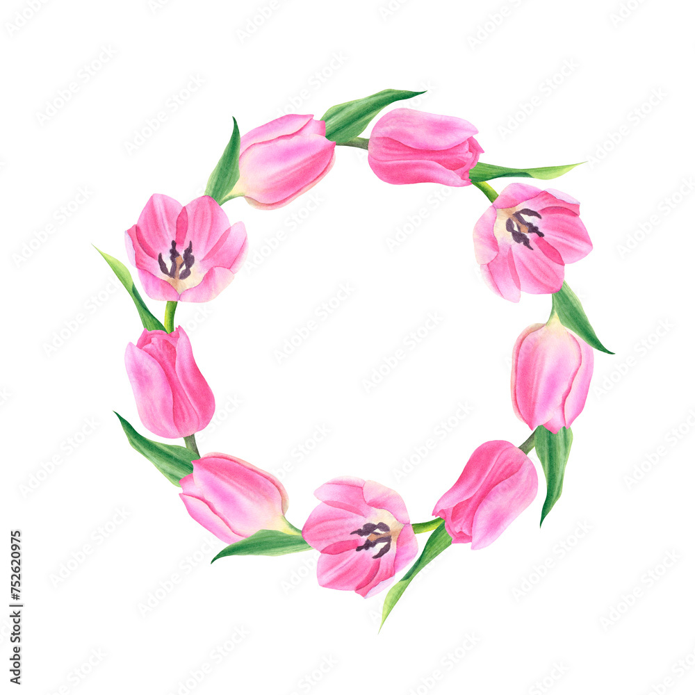 Watercolor wreath of pink tulips on white background. Round frame of flowers. Hand drawn botanical illustration. For design, cards, invitations, congratulations, packaging, printing, advertising.