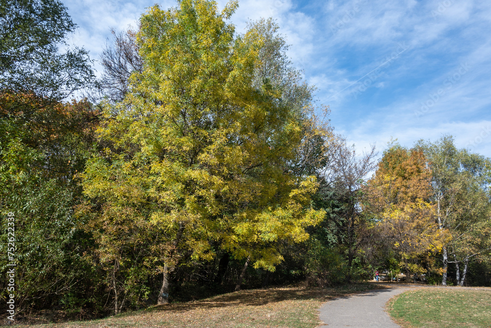 Naklejka premium Autumn view of South Park in city of Sofia, Bulgaria