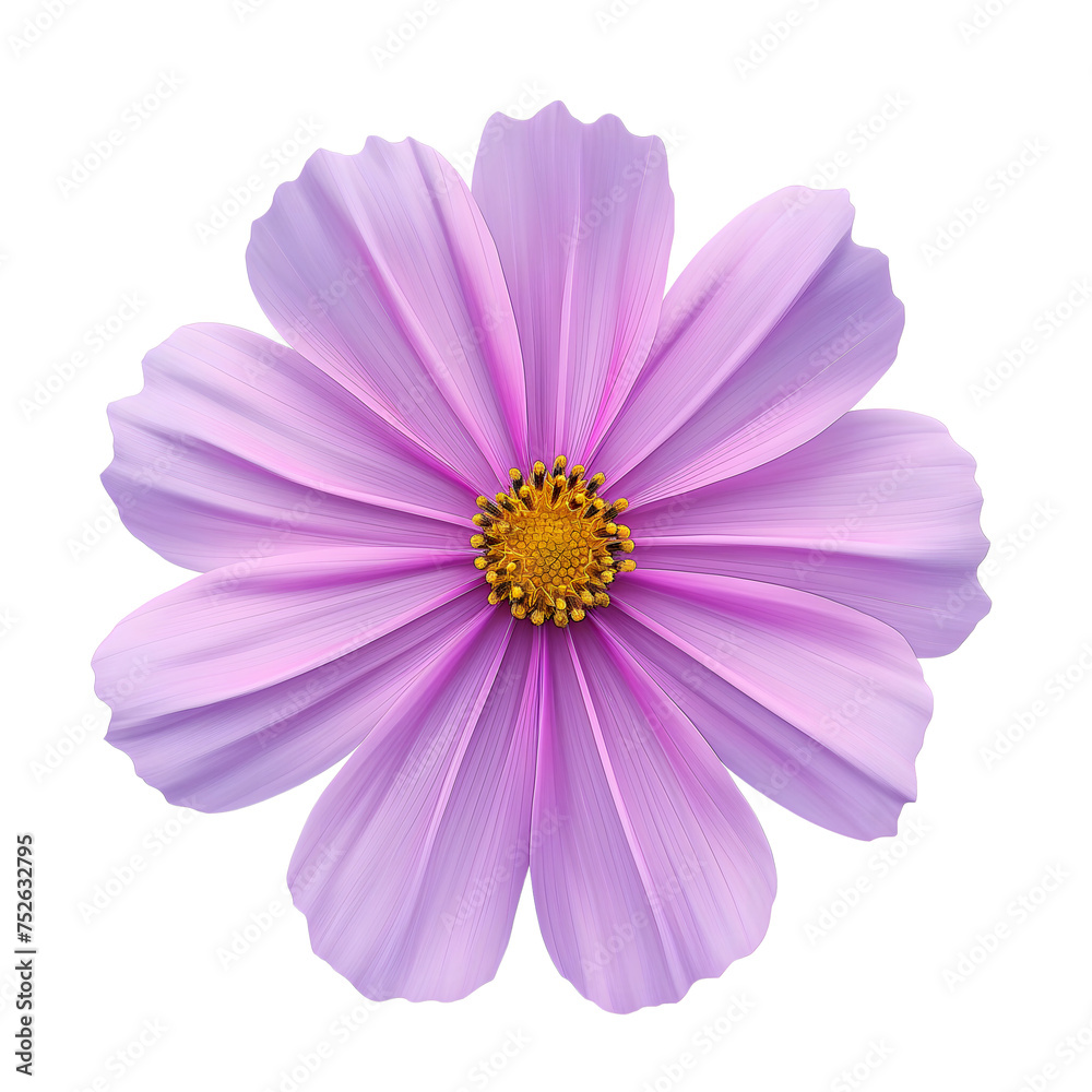 purple cosmos isolated on transparent background generative ai