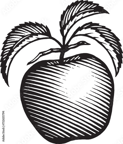 Apple Woodcut Illustration by Steven Noble  (ID: 752635794)
