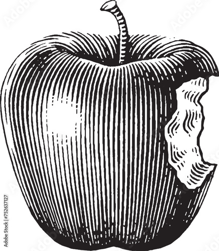 Apple woodcut illustration created by Steven Noble (ID: 752637127)