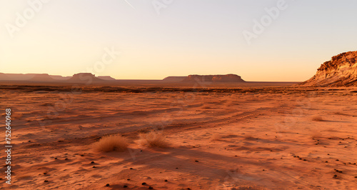 an arid plain with small rocks in the distance