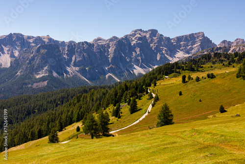 Summer sunny day at Dolomitic Alps: mountain huts at green forested Goma Pass