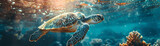 Sea turtles traverse currents of data guiding us through a blockchain ocean