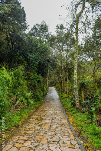 Stone path through lush greenery at Laguna de Guatavita, Cundinamarca