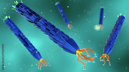 3d rendering of filamentous bacteriophage M13 photo