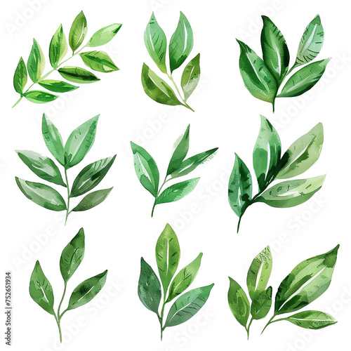 Painted Floral Green Leaves Elements Painting Style Watercolor With PNG Image Vector Illustration