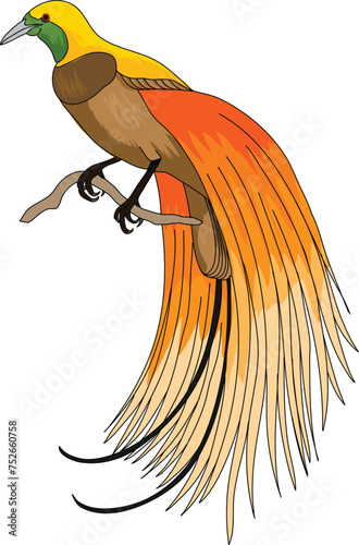 bird of paradise vector art illustration