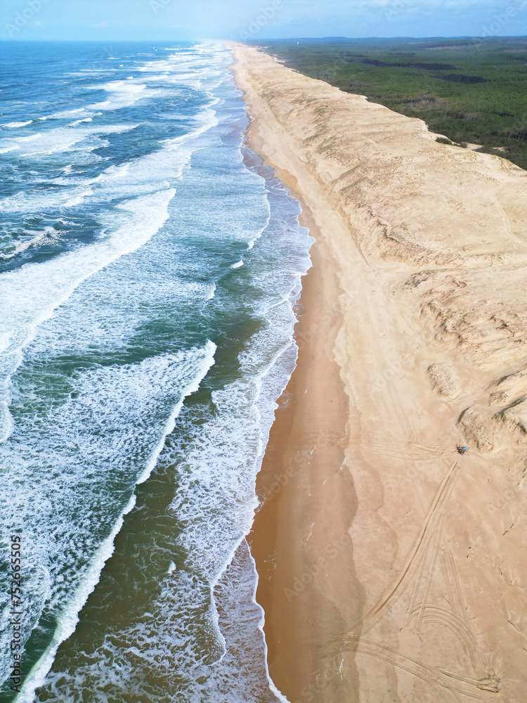 Dunes de sable et côte landaise vertical