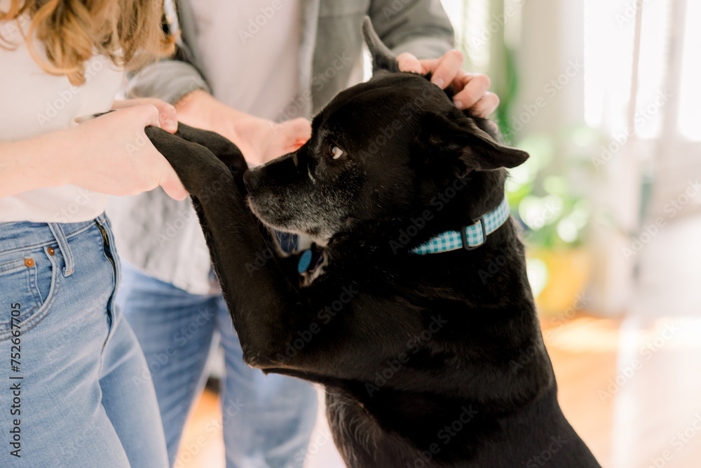 A black dog is getting affection from his owners (a man and woman) A black dog is getting affection from his owners (a man and woman)