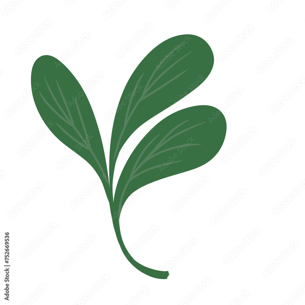 Small plant element illustration Small plant element illustration