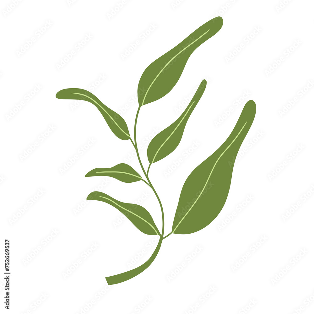 Fototapeta premium Small plant element illustration