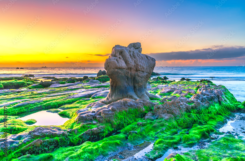 Landscape of rocky beach at sunrise with moss and pebbles on Co Thach beach, a famous beach in Binh Thuan province, central Vietnam Landscape of rocky beach at sunrise with moss and pebbles on Co Thach beach, a famous beach in Binh Thuan province, central Vietnam