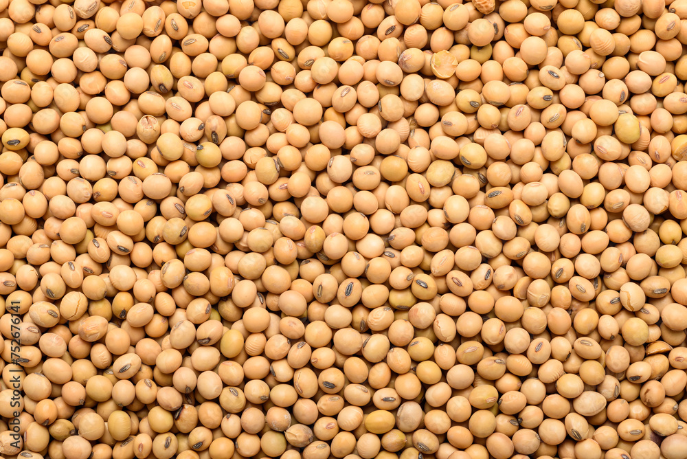 Soybean seeds, an ingredient for making vegetarian and healthy food. Close-up image of food background texture Soybean seeds, an ingredient for making vegetarian and healthy food. Close-up image of food background texture