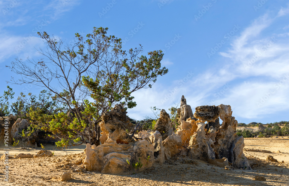 Pinnacles desert of Nambung National Park Western Australia Australia