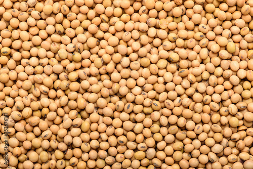 Soybean seeds, an ingredient for making vegetarian and healthy food. Close-up image of food background texture