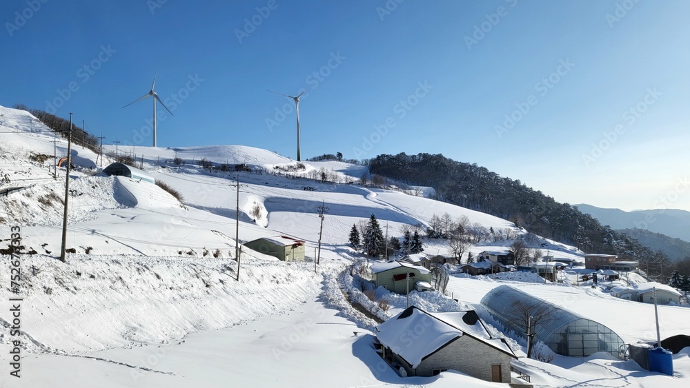 Obraz premium beautiful scenery and trees in the winter mountains