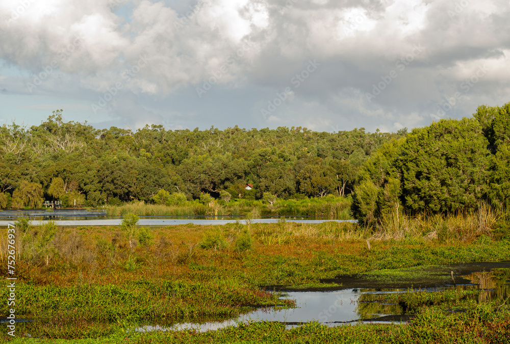 Yanchep national park in Perth Western Australia
