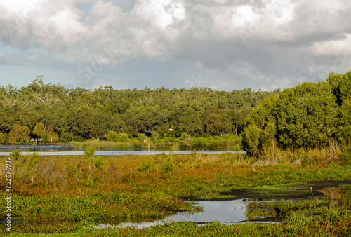 Obraz na płótnie Yanchep national park in Perth Western Australia w salonie