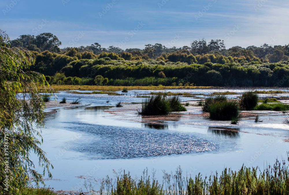 Yanchep national park in Perth Western Australia
