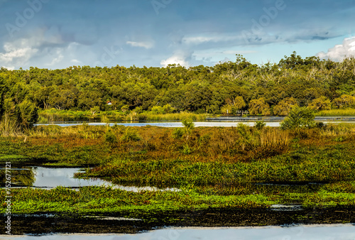 Obraz na płótnie Yanchep national park in Perth Western Australia w salonie