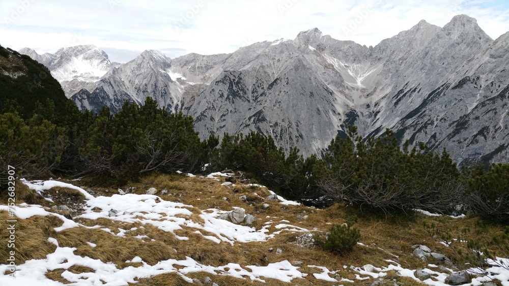 Obraz premium A majestic snow-capped mountain rises in the backdrop while tall trees stand proudly in the snowy foreground.