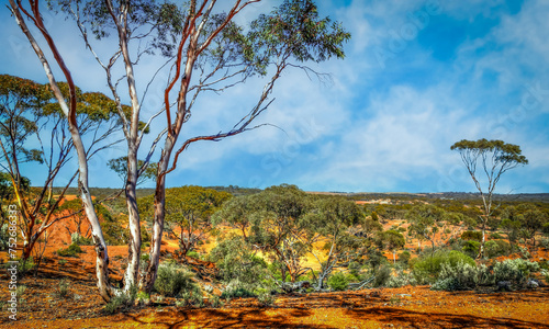 Obraz na płótnie Kalgoorlie red desert in the Goldfields region of Western Australia w salonie