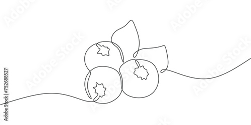 Blueberry fruit one line drawing. Continuous outline of Bilberry. Vector illustration healthy food concept.