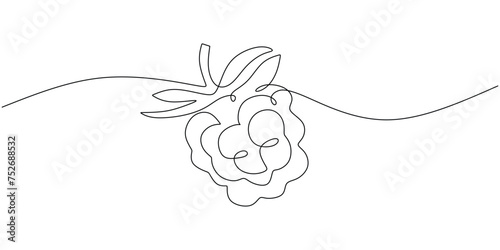 Raspberry one line drawing. Continuous outline of Raspberry fruit. Vector illustration healthy food concept.