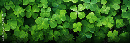 A Vivid Close-Up of A Lucky Four-Leaf Clover Amidst the Lush Green Grass: An Epitome of Nature's Artistry and Serenity