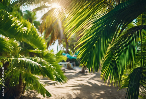 Tropical paradise scene with sun flare through palm leaves, highlighting a serene beach pathway.