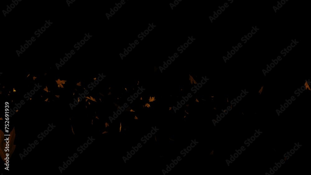 Flying autumn leaves over black background. Element Overlay, green screen, alpha effect -4k Seamless Loo