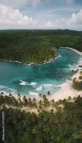 Aerial view of a tropical beach with lush greenery and turquoise waters.