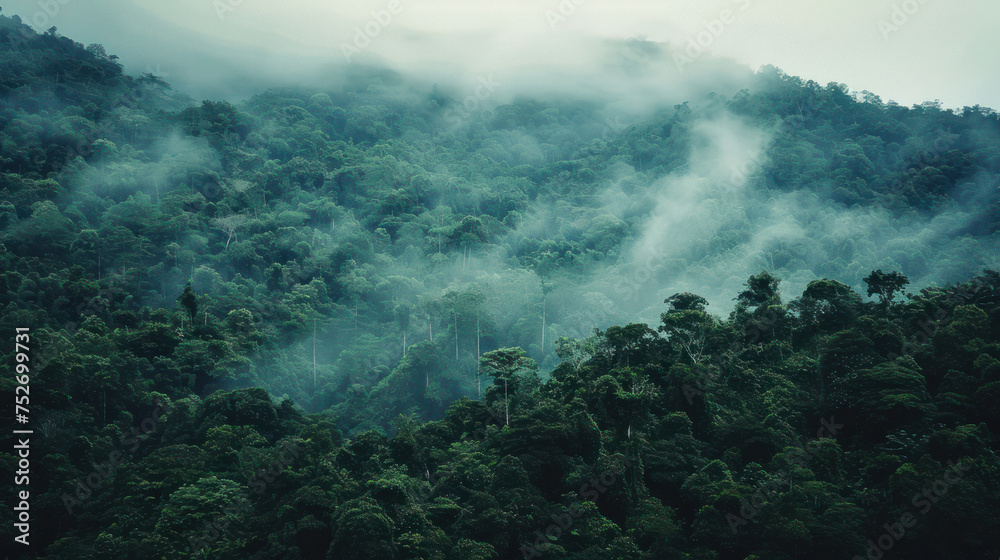 analogue still high angle shot of a foggy rain forest landscape analogue still high angle shot of a foggy rain forest landscape