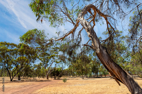 Western Australians unique Landscape	