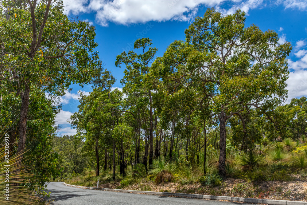 Rural road with the Natural landscape of Western Australia outside Perth