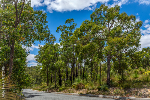 Obraz na płótnie Rural road with the Natural landscape of Western Australia outside Perth w salonie
