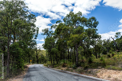 Rural road  with the Natural landscape of Western Australia outside Perth	