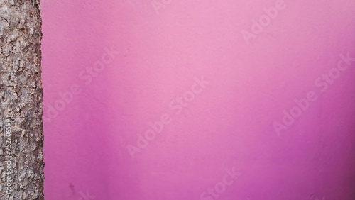 pink walls and tree trunks