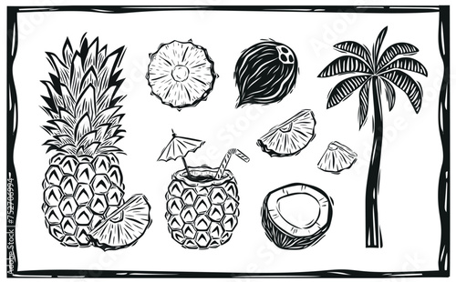 Botanical illustration of pineapple and coconut. Tropical fruits for drinks. Woodcut style illustration