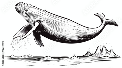 Freehand retro cartoon whale spouting water freehand photo