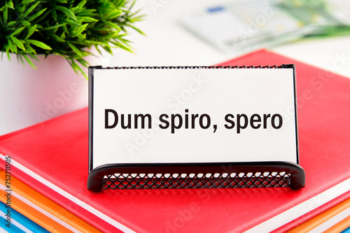 Dum Spiro Spero - latin phrase means While I Breath, I Hope. on white business cards in delivery on a light background photo