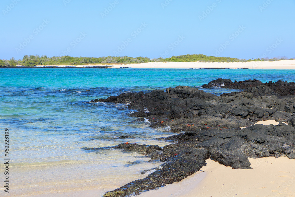 Galapagos islands landscape 