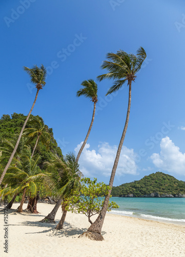 Landscape view coconut palm trees on tropical beach at Wua Ta Lap island, Angthong Islands National Marine Park ,Surat Thani, Thailand