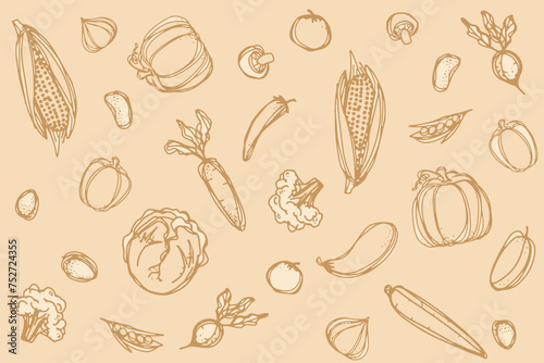 Bundle of vegetables, cultivated root crops, salads, spicy herbs drawn with contour lines on white background. Set of natural design elements. Monochrome vector illustration in line art style