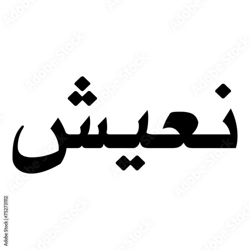 Niyusha Muslim Girls Name Naskh Font Arabic Calligraphy