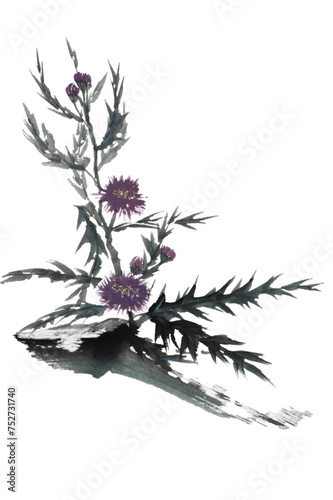 Ikebana of purple thistle. Scotland symbol. national flower (painted with ink and Chinese watercolors on xuan paper, oriental style). Texture of paper and brush strokes - intact. Background`s been rem