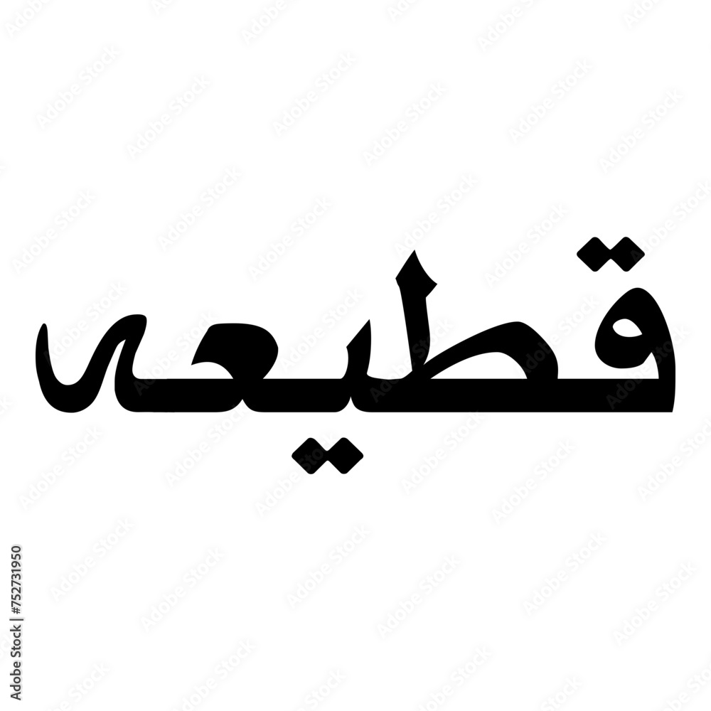 Qutayyah Muslim Girls Name Naskh Font Arabic Calligraphy