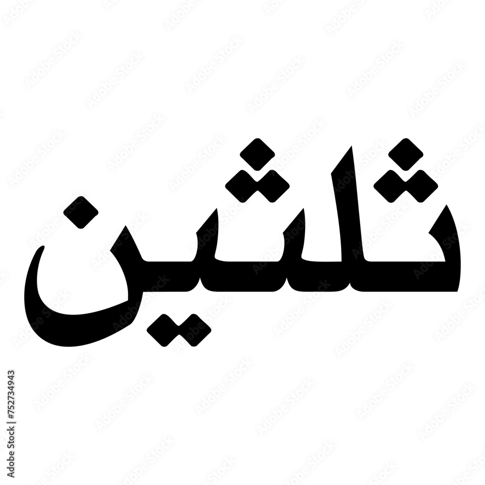 Sulthana Muslim Girls Name Naskh Font Arabic Calligraphy